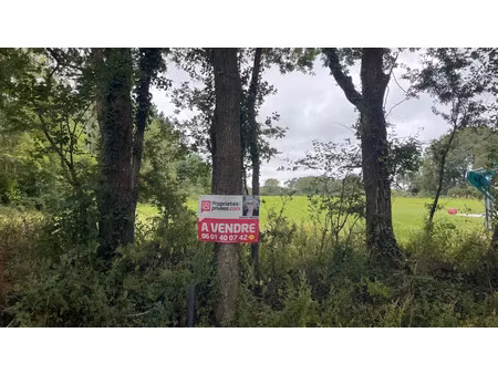 vente terrain 4714 m² à saint-lyphard (44410)  210 059 €
