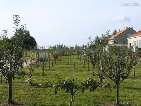recherche terrain ballaison / échange possible (verger  potager  ruches) ?