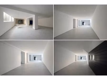 murs commerciaux 295m² possibilité 2 activités 38260