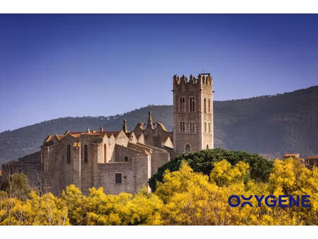 à vendre – terrain constructible de 667 m² à ille-sur-têt