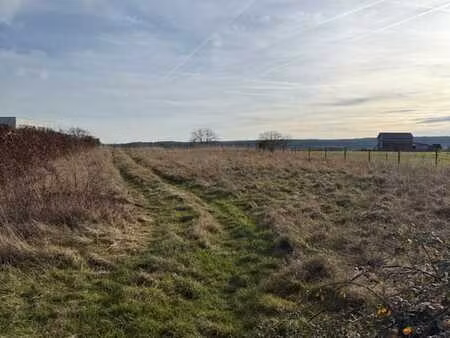 beau terrain avec vue