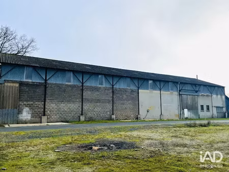 location locaux professionnels 3000 m² à beaucouze (49070)  2 400 €