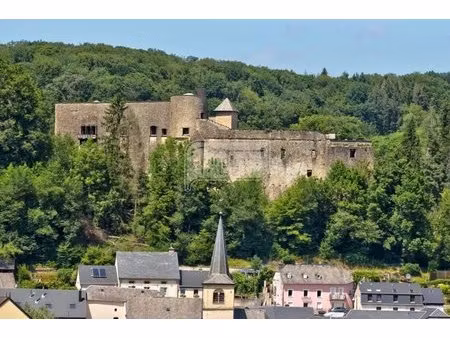 en vente château 1 000 m² – 3 500 000 € |septfontaines