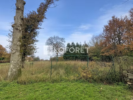 terrain a batir carentoir 990m² en impasse