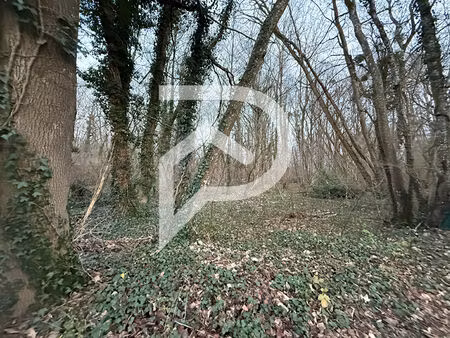 terrain de loisir le chatelet en brie 3008 m2