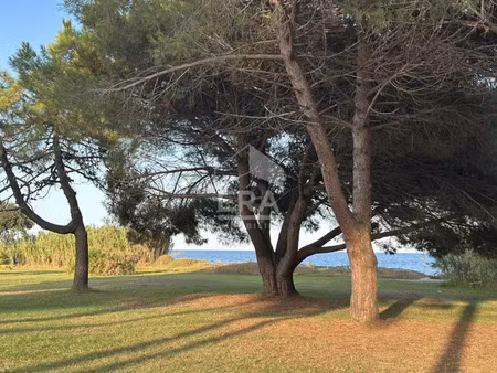 appartement 2 pièces 35 m² à vendre / acheter poggio-mezzana 20230 ? | era immobilier