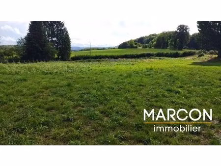 achat terrain 2 000m² st dizier leyrenne 23400