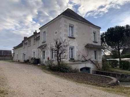 vente maison 13 pièces 380 m² montbazon (37250)