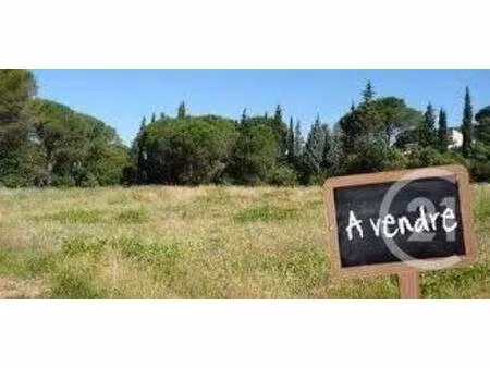 terrain constructible viabilisé à vendre