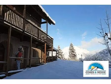 cimes et neige immobilier