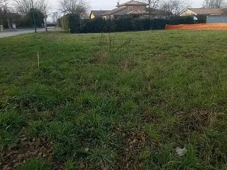 terrain constructible viabilisé à vendre