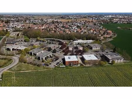 scharf immobilier