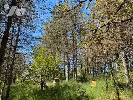 vente terrain 3800 m² à montigny-sur-vesle (51140)  45 000 €