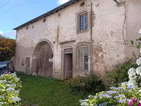 ferme à rénover / grange secteur lamarche (88) avec terrain - idéal artisan