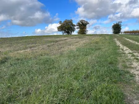 vente terrain 600 m² à villenave-de-rions (33550)  50 000 €