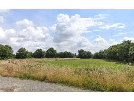 vente terrain 423 m² à le bernard (85560)  63 000 €