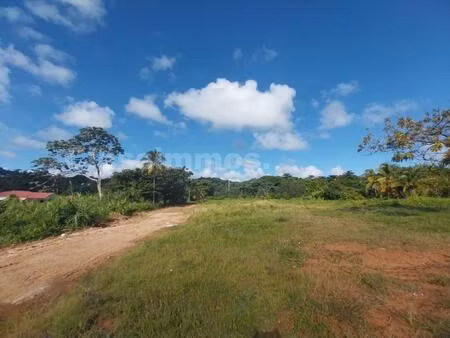 terrain plat et viabilisé de 655m² sur le robert