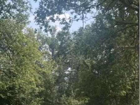 cherche terrain isoler