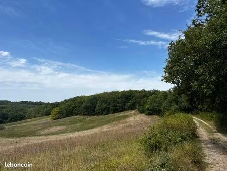 ? terrain boisé 1 ha – monclar-de-quercy (82) – prix fixe 10 000