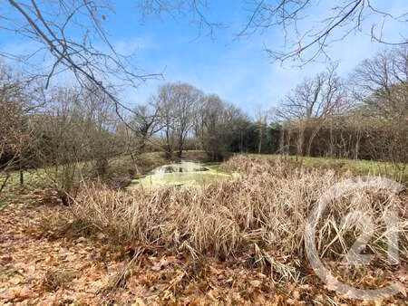 vente terrain à plessé (44630) : à vendre / 2409m² plessé