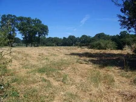 vente terrain à sucé-sur-erdre (44240) : à vendre / 1100m² sucé-sur-erdre