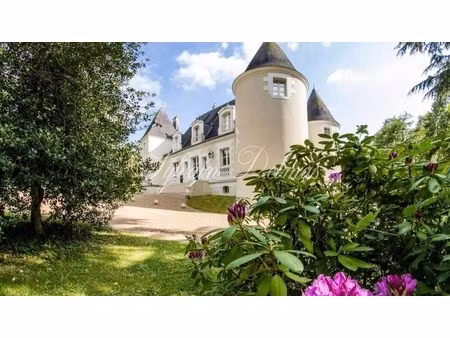 maison à vendre 16 pièces proche de tours (37)