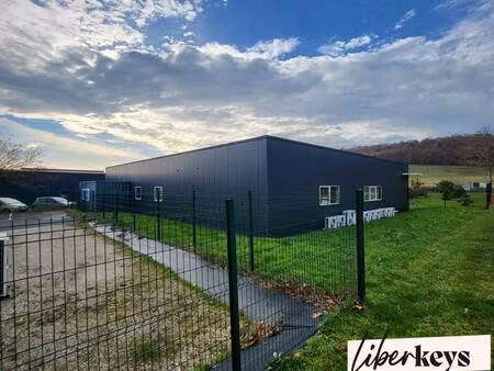 ensemble immobilier professionnel de rapport - zone des cauquillous à lavaur - a68 à moins