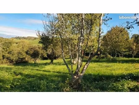 terrain constructible