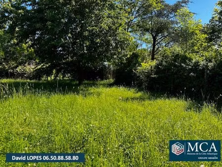 vente terrain 600 m² branne (33420)