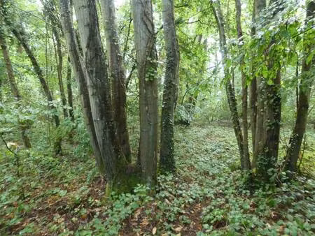 propriété de loisirs à vendre