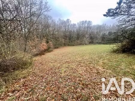 vente terrain au born (31340) : à vendre / 1764m² le born