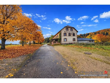 vente maison 16 pièces 920 m² à sainte-marie-aux-mines (68160)  779 000 €