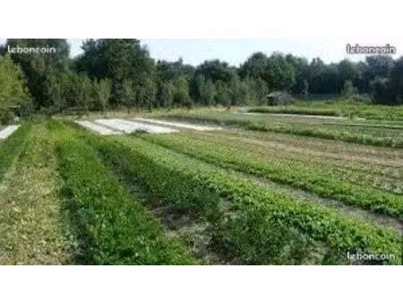 parcelle agricole / terrain animaux