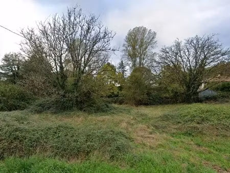 vente terrain 850 m² à langon (33210)  65 000 €