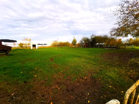 terrain à bâtir 2905m2