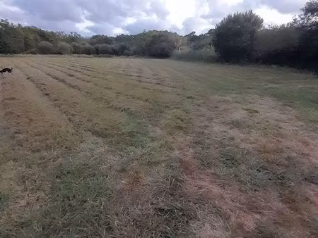 recherche terrain agricole