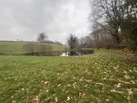 etang de 4000 m2 sur une parcelle de 5 733 m2 !