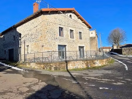 maison à usage mixte : habitation + grand espace commercial pro