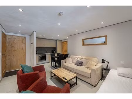 appartement 2 pièces - ski aux pieds