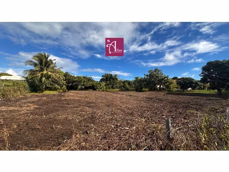 terrain constructible 630 m2 secteur dubédou à saint-franç