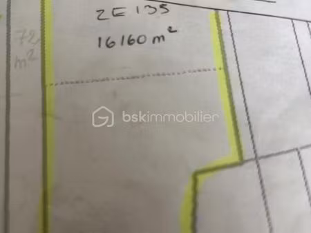 terrain 16 160 m² veuves