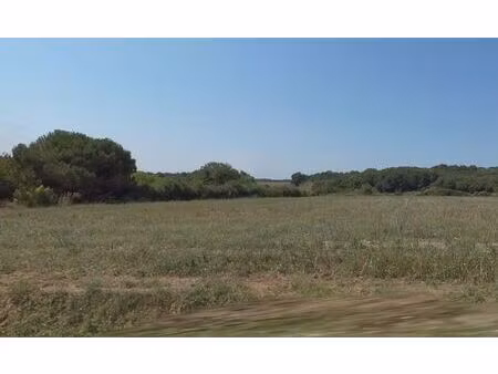 vente terrain 712 m² meursac (17120)