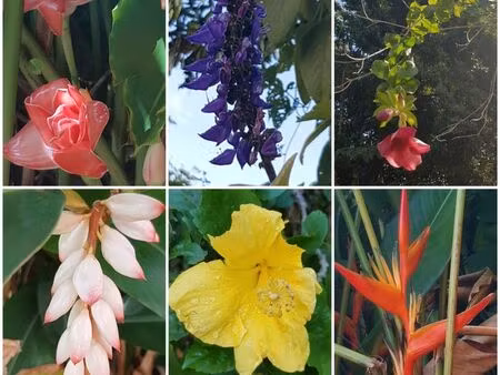 recherche appartement t2 t3