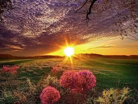 location meublée appartement 2 pièces 50 m² à cabasse (83340)  350 €