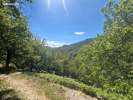 terrain châtaignier bio en ardèche méridionale