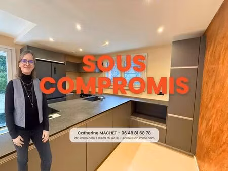 maison de luxe de 5 pièces en vente à sierentz  france