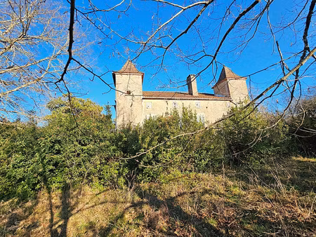 demeure de charme du xix eme à réhabiliter sur 1 hectare