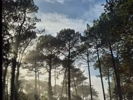 cherche terrain zone agricole seignosse