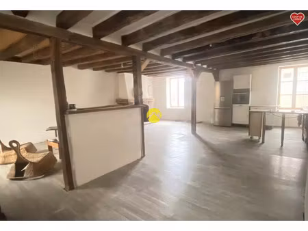 vente maison 9 pièces 40 m² sancoins (18600)