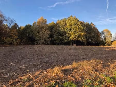 grond te koop in lokeren
